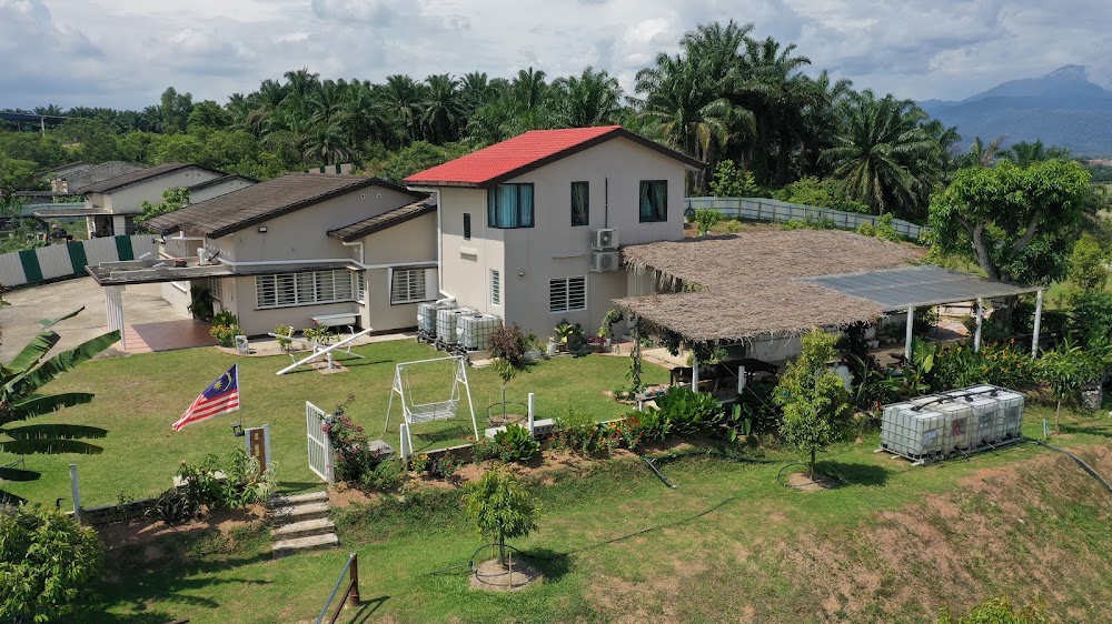Cofy Hill Guest House
