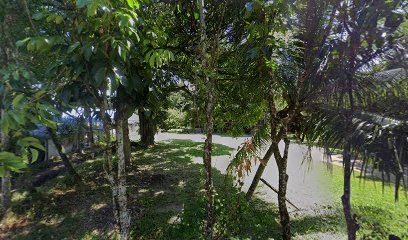 Homestay Pn. Rodiah
