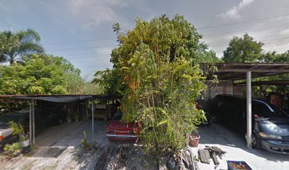 Homestay Rafflesia