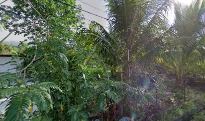 Seri D'Lenggong Homestay