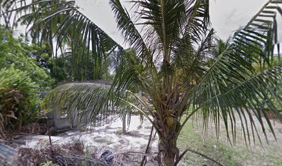 Cottage Homestay