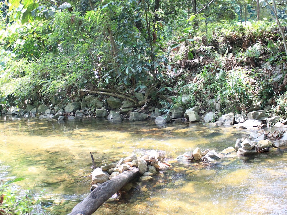 Ulu Chepor Ma's Homestay