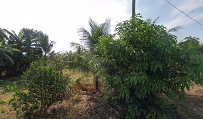 Haji A'im Homestay