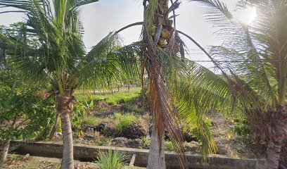Homestay Rahmah
